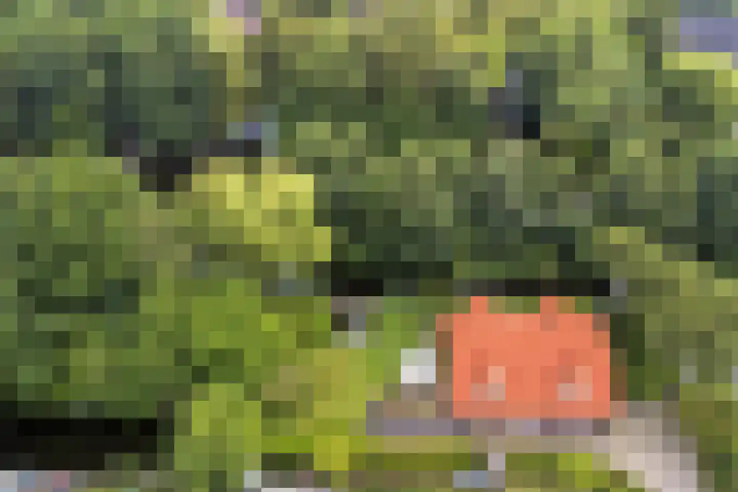 Wulp 7 Zuid-Scharwoude thumbnail 58