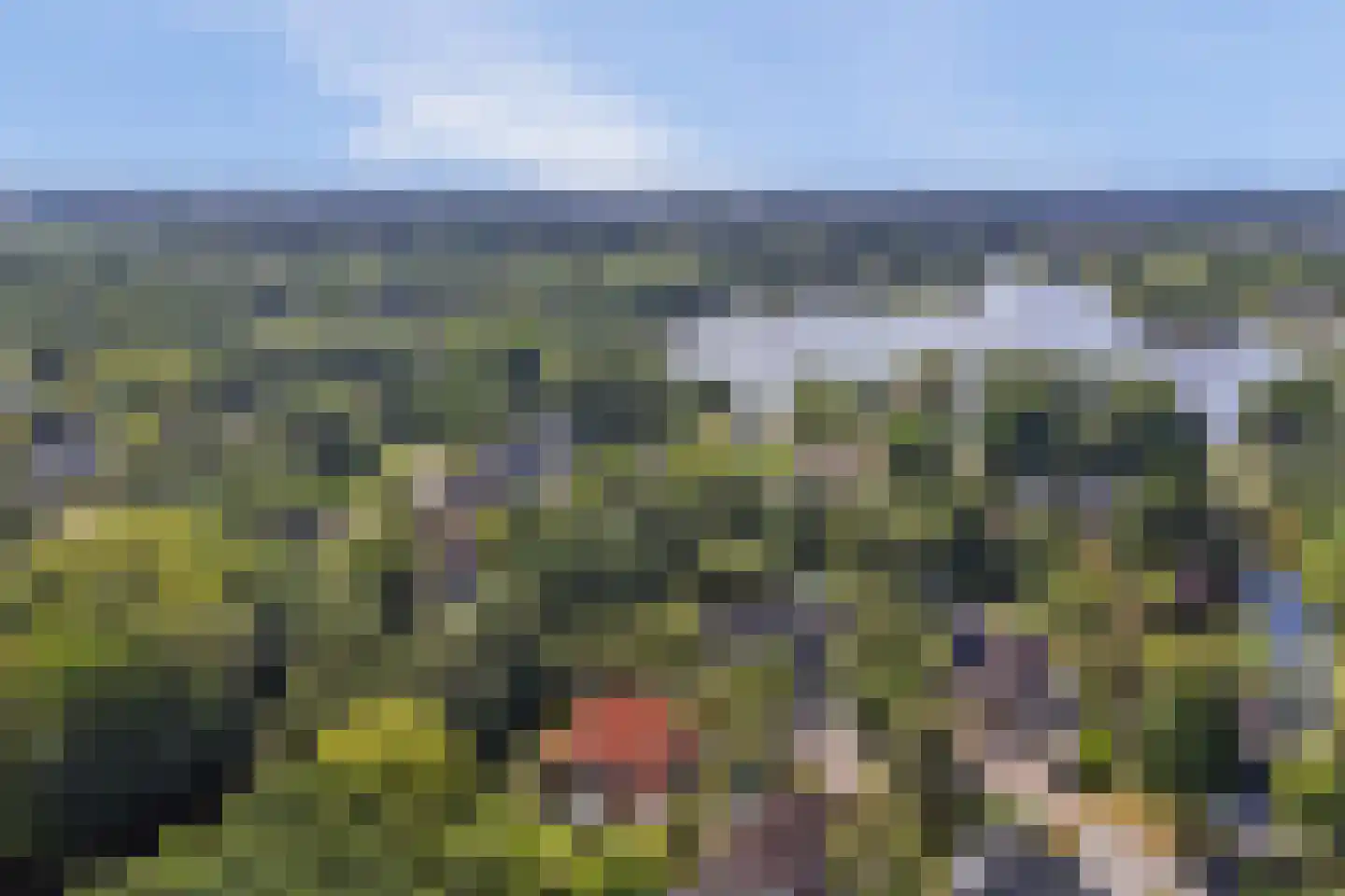 Wulp 7 Zuid-Scharwoude thumbnail 59