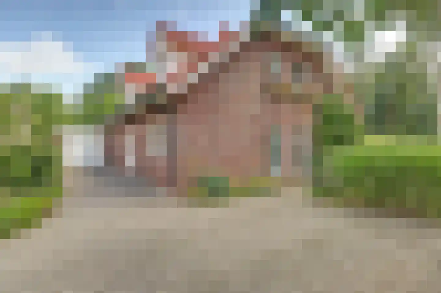 Wulp 7 Zuid-Scharwoude thumbnail 6