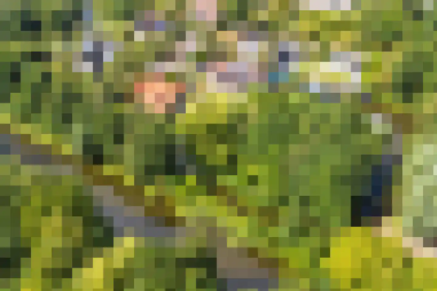 Wulp 7 Zuid-Scharwoude thumbnail 60