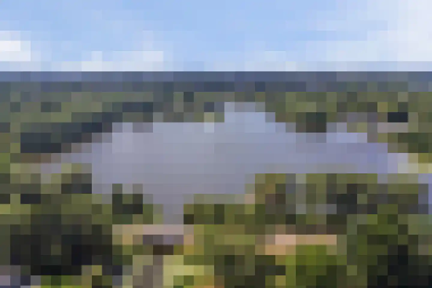 Wulp 7 Zuid-Scharwoude thumbnail 62
