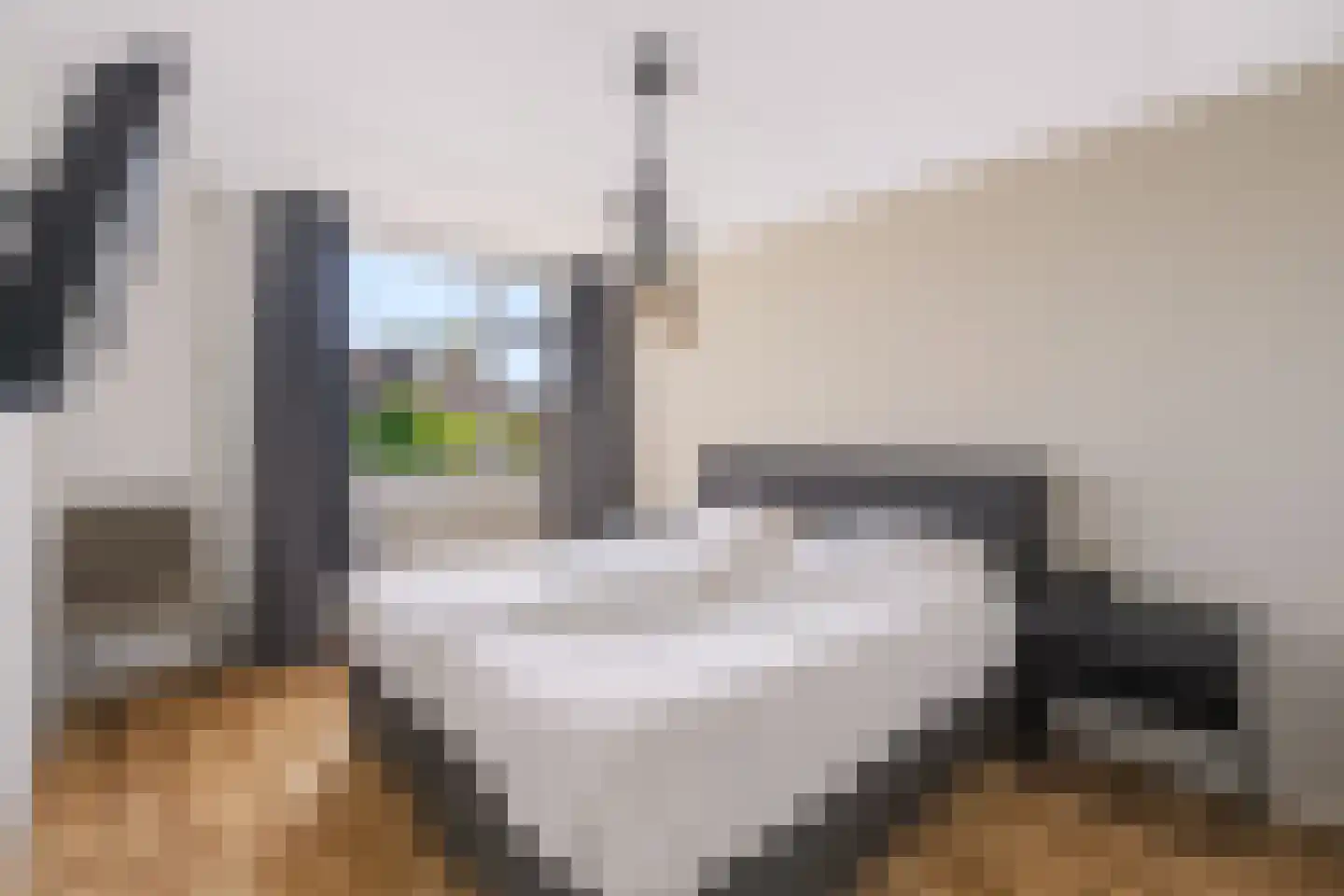 Wulp 75 Raalte thumbnail 14