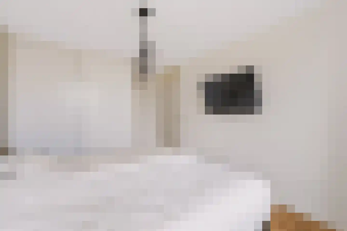 Wulp 75 Raalte thumbnail 15