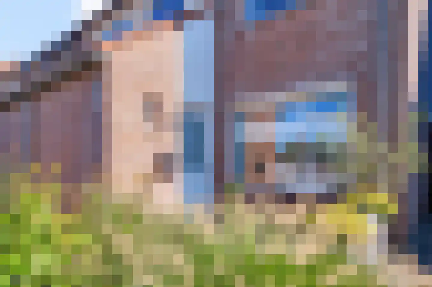 Wulp 75 Raalte thumbnail 23