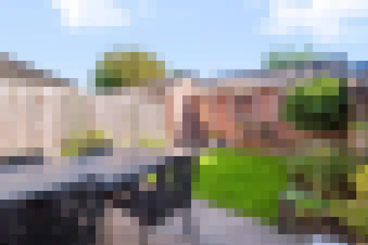 Wulp 75 Raalte thumbnail 24
