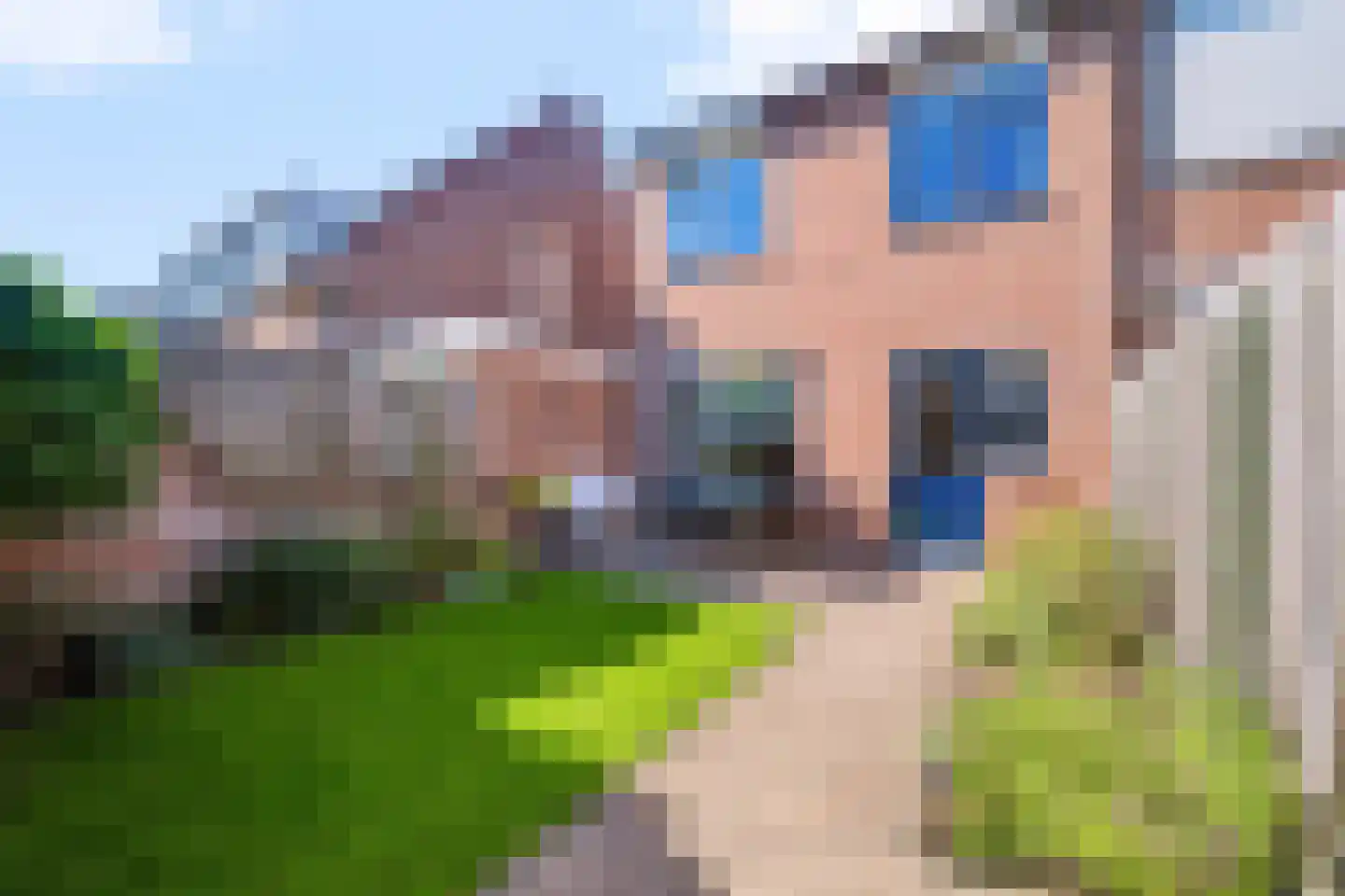 Wulp 75 Raalte thumbnail 25