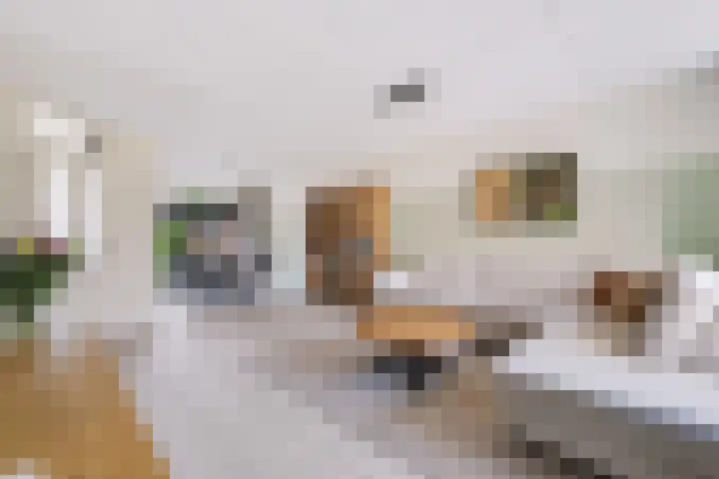 Wulp 75 Raalte thumbnail 4