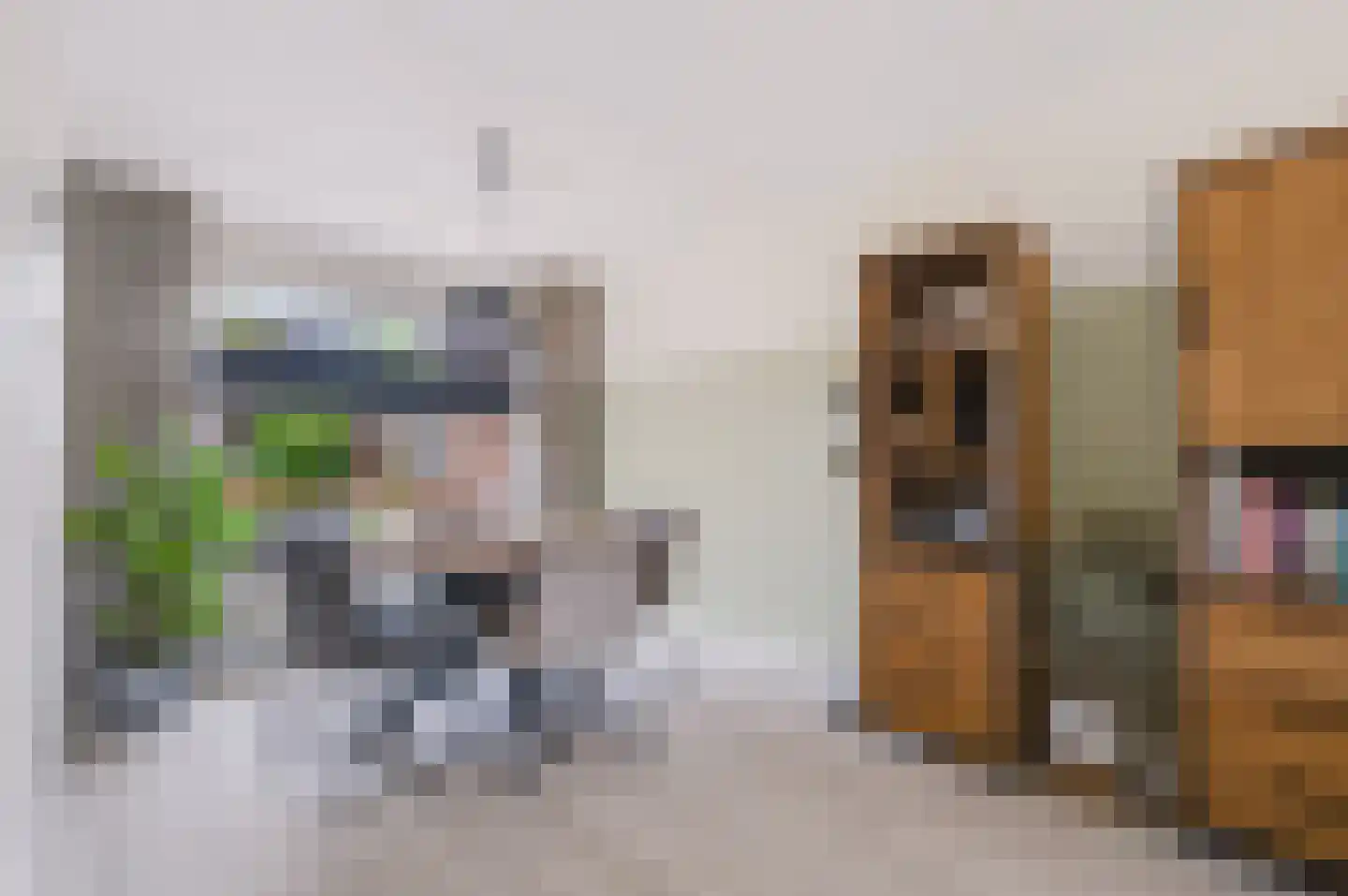 Wulp 75 Raalte thumbnail 7