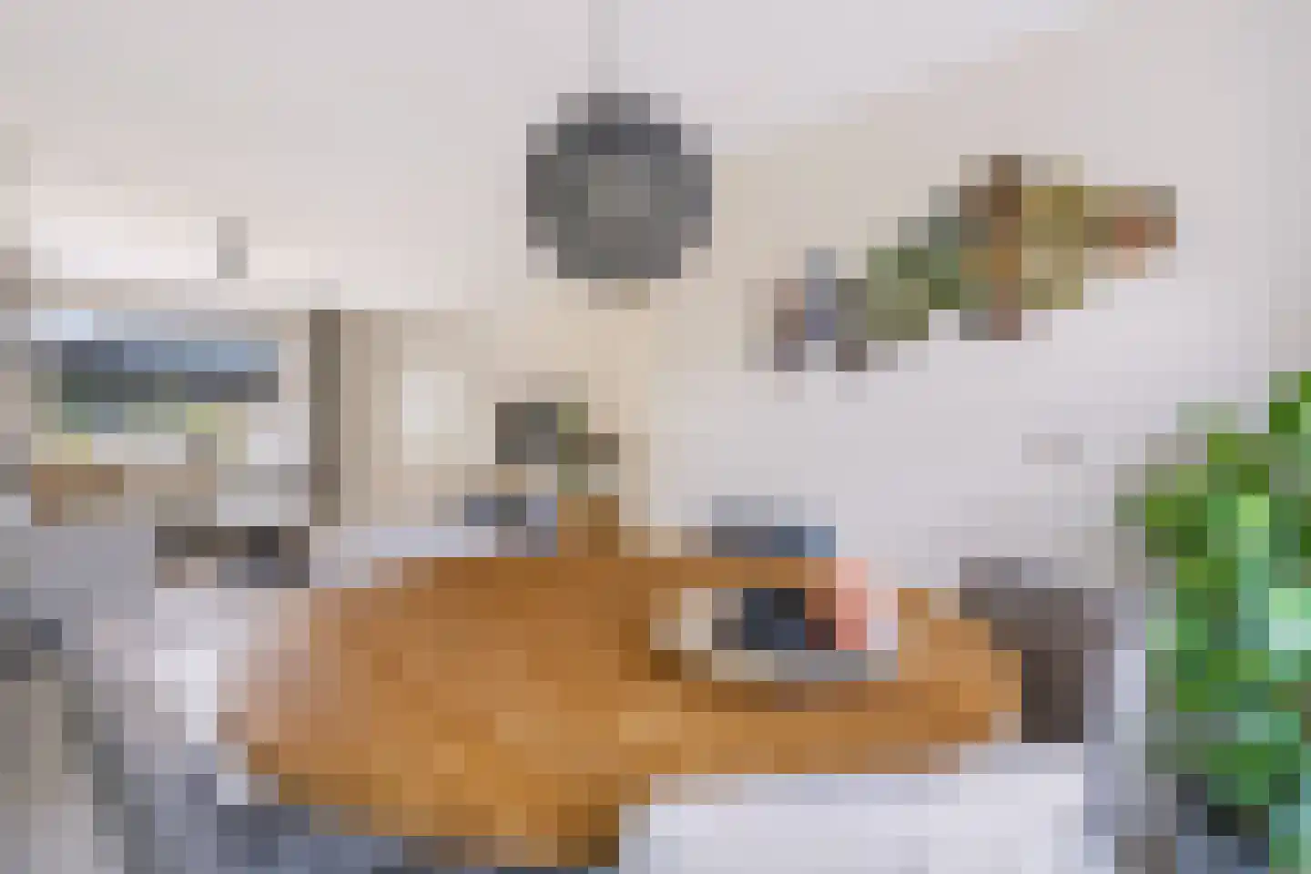 Wulp 75 Raalte thumbnail 8