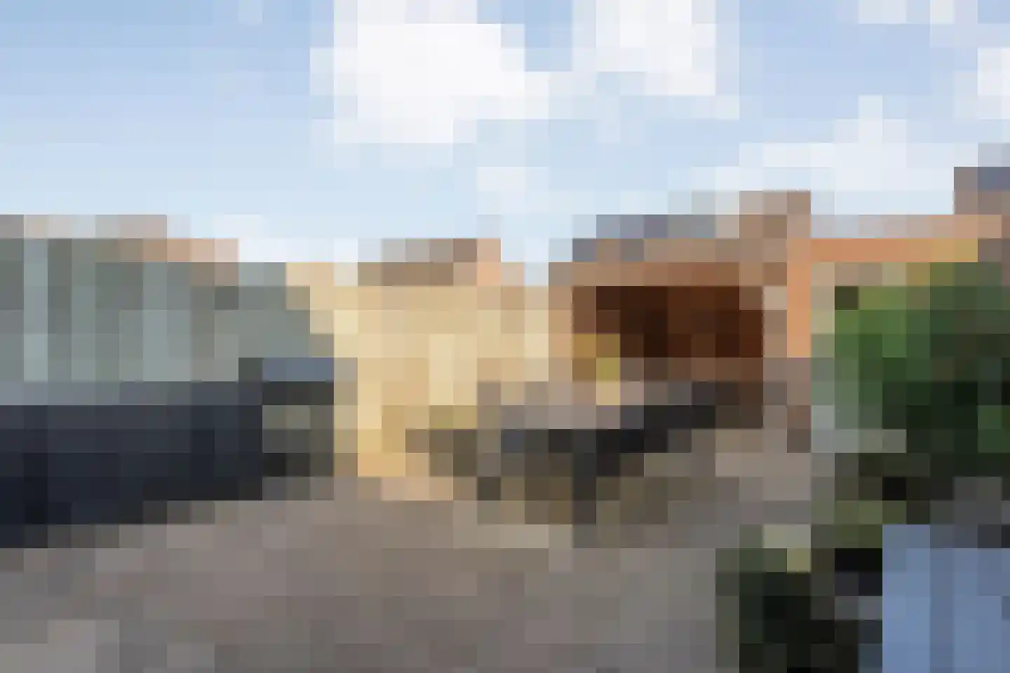 Wulp 81 Raalte thumbnail 31
