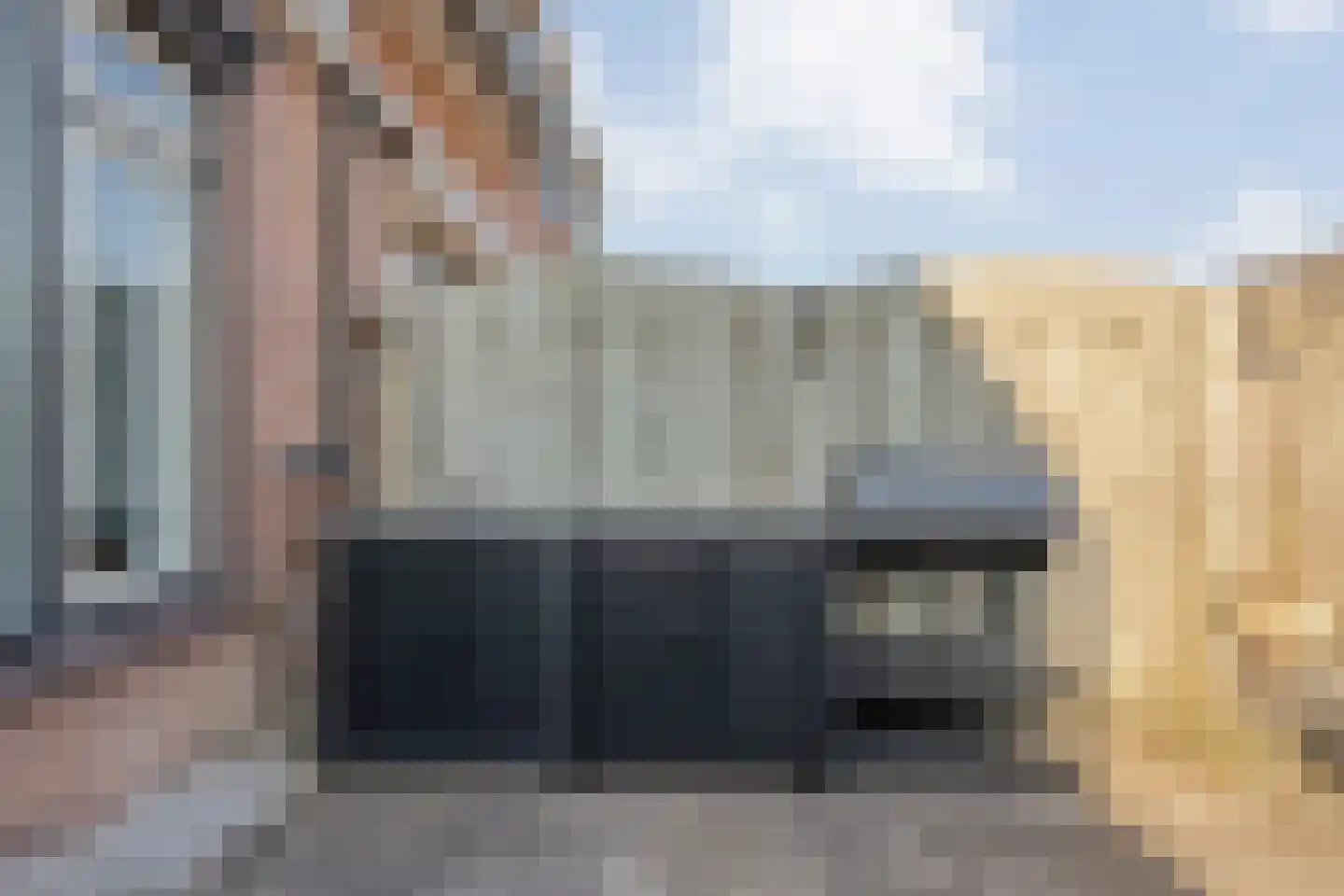 Wulp 81 Raalte thumbnail 33