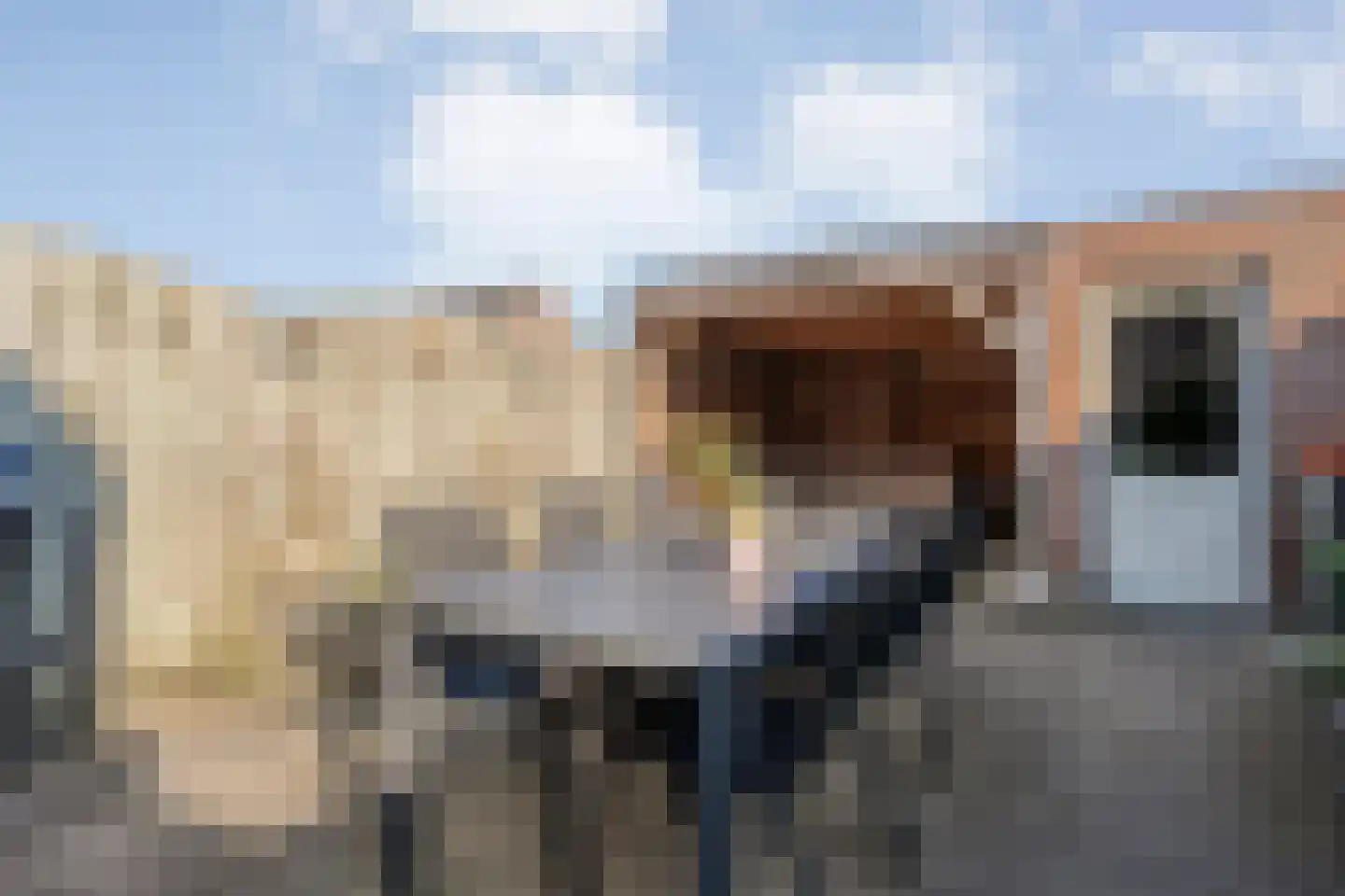 Wulp 81 Raalte thumbnail 34