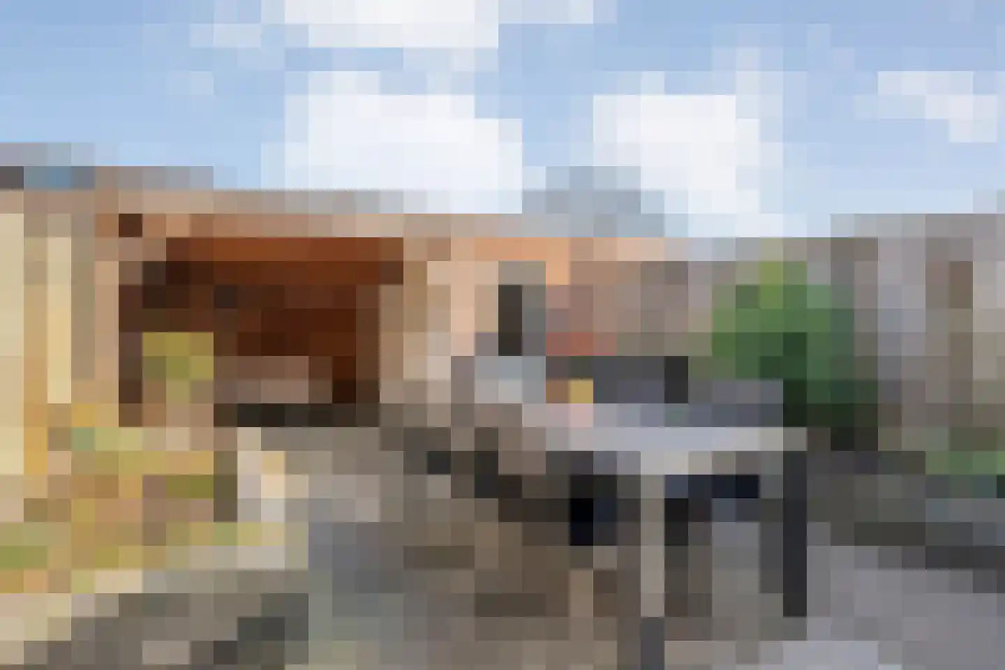 Wulp 81 Raalte thumbnail 35