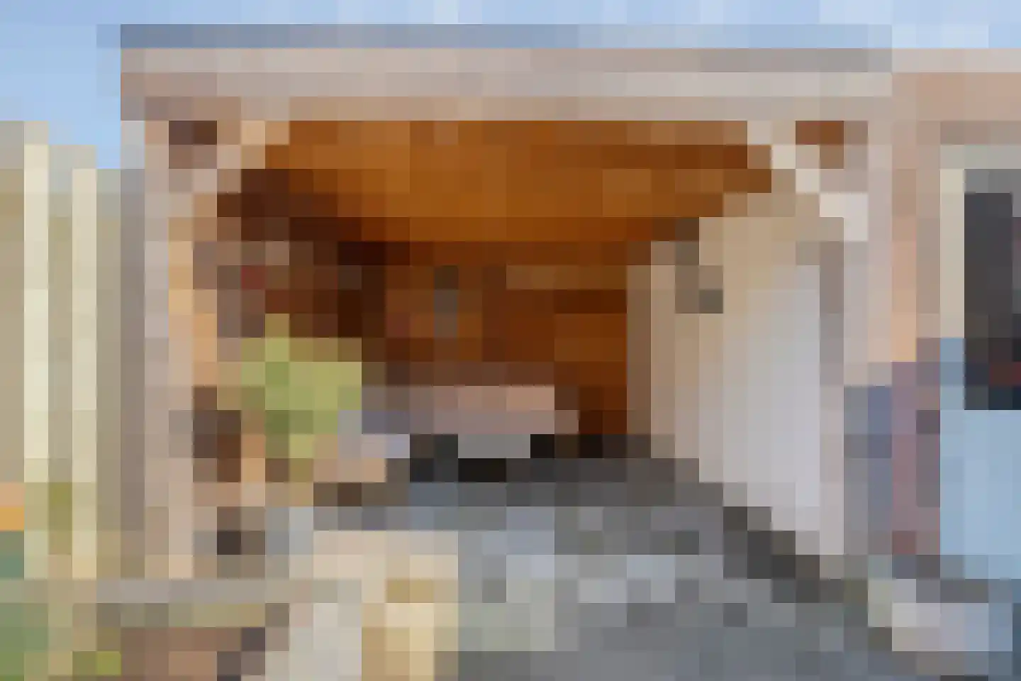 Wulp 81 Raalte thumbnail 36