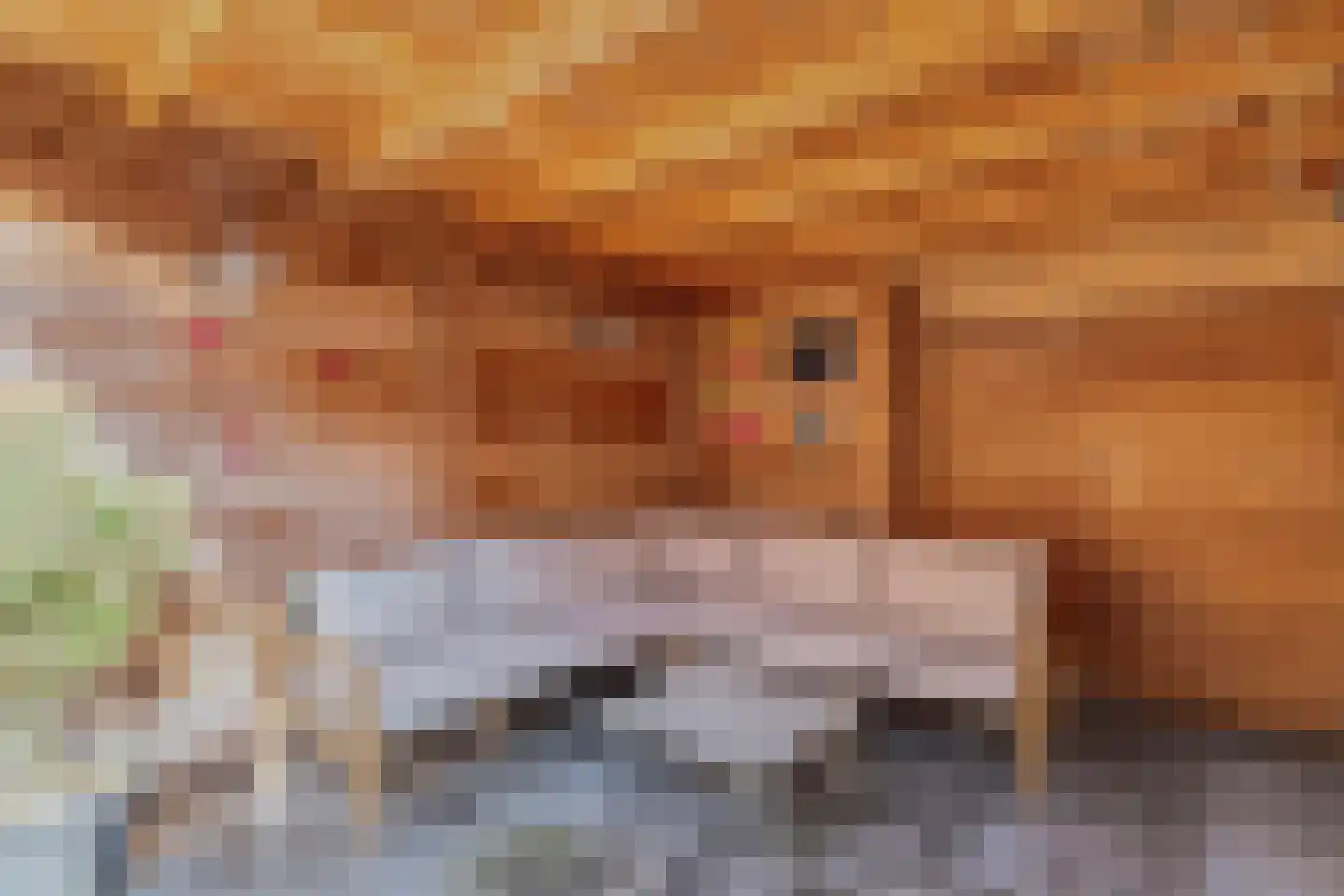 Wulp 81 Raalte thumbnail 37
