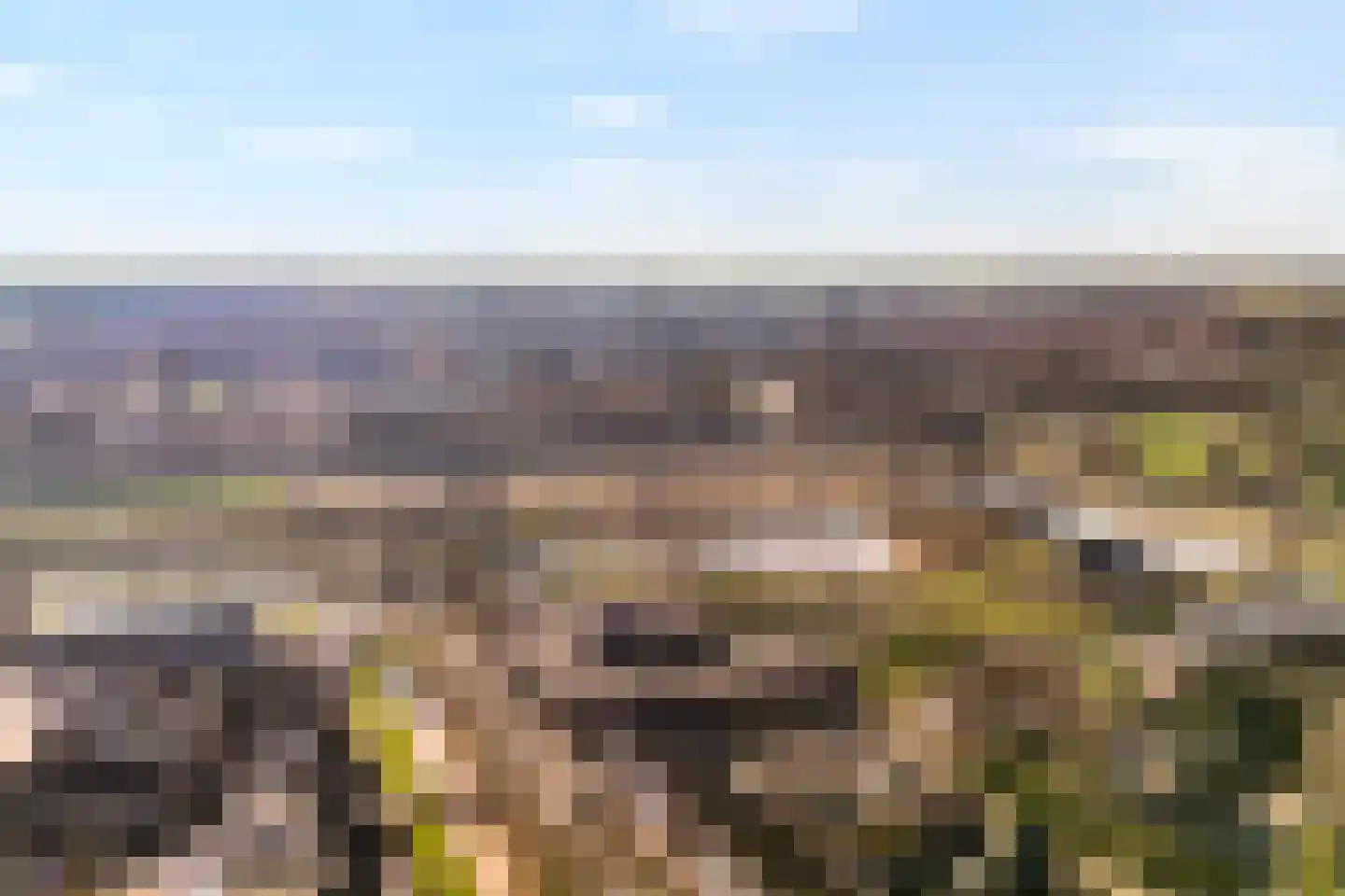 Wulp 81 Raalte thumbnail 39