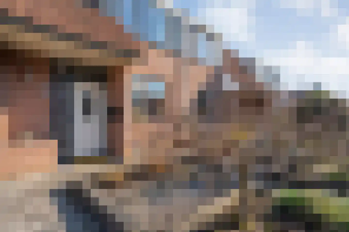 Wulp 81 Raalte thumbnail 6