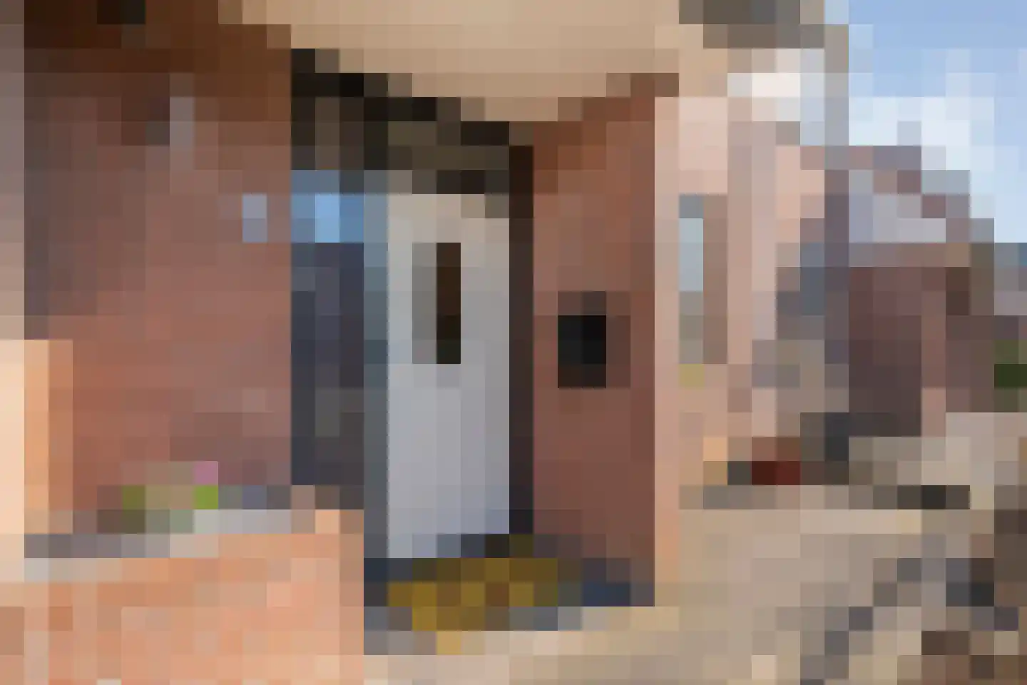 Wulp 81 Raalte thumbnail 7