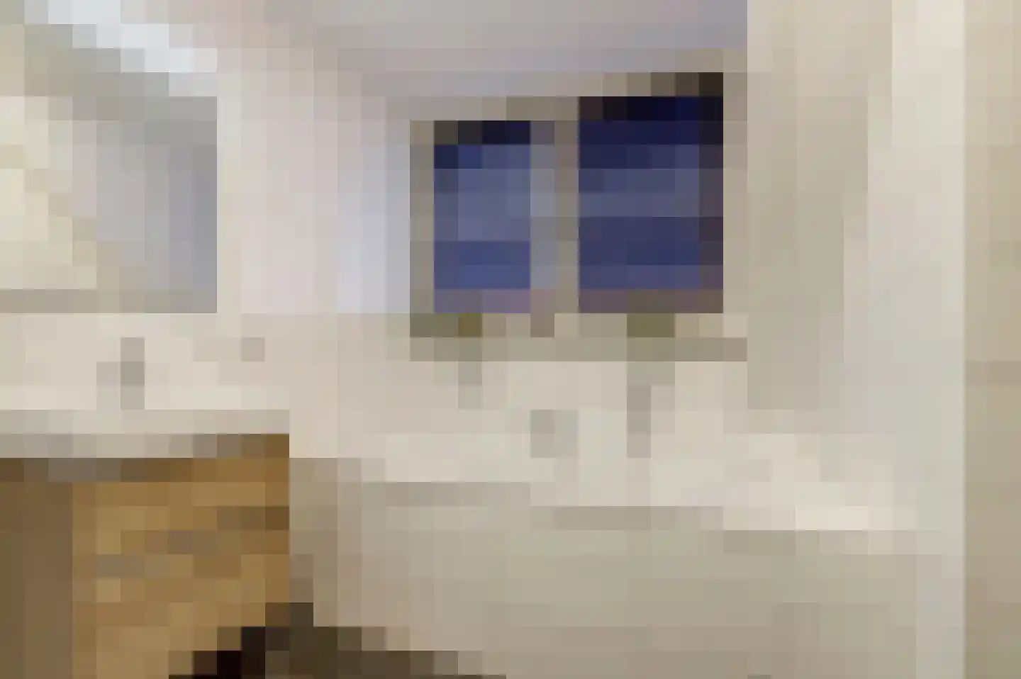 Wulpdal 33 Scherpenisse thumbnail 20