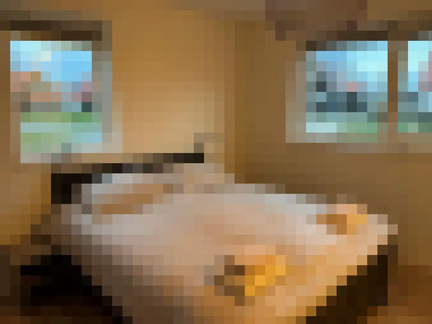 Wulpdal 34 Scherpenisse thumbnail 23
