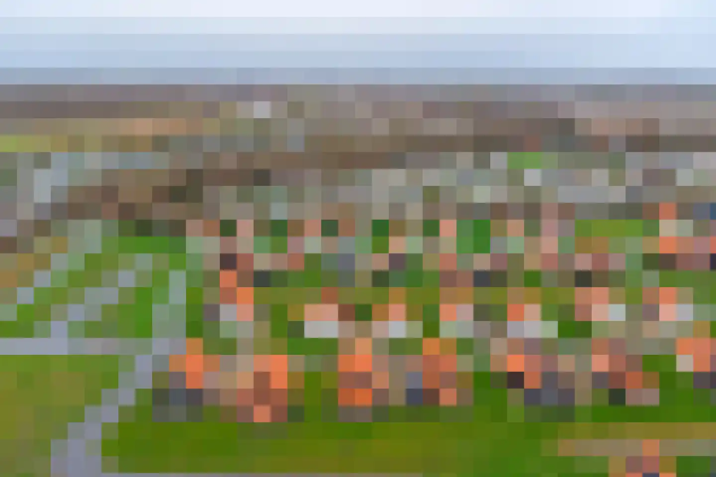 Wulpdal 39 Scherpenisse thumbnail 32