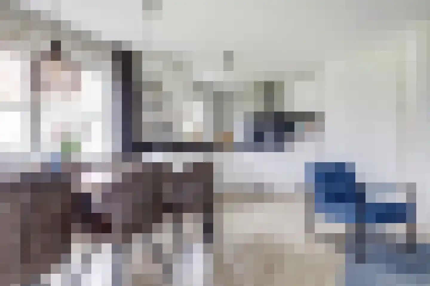 Wulpdal 39 Scherpenisse thumbnail 4