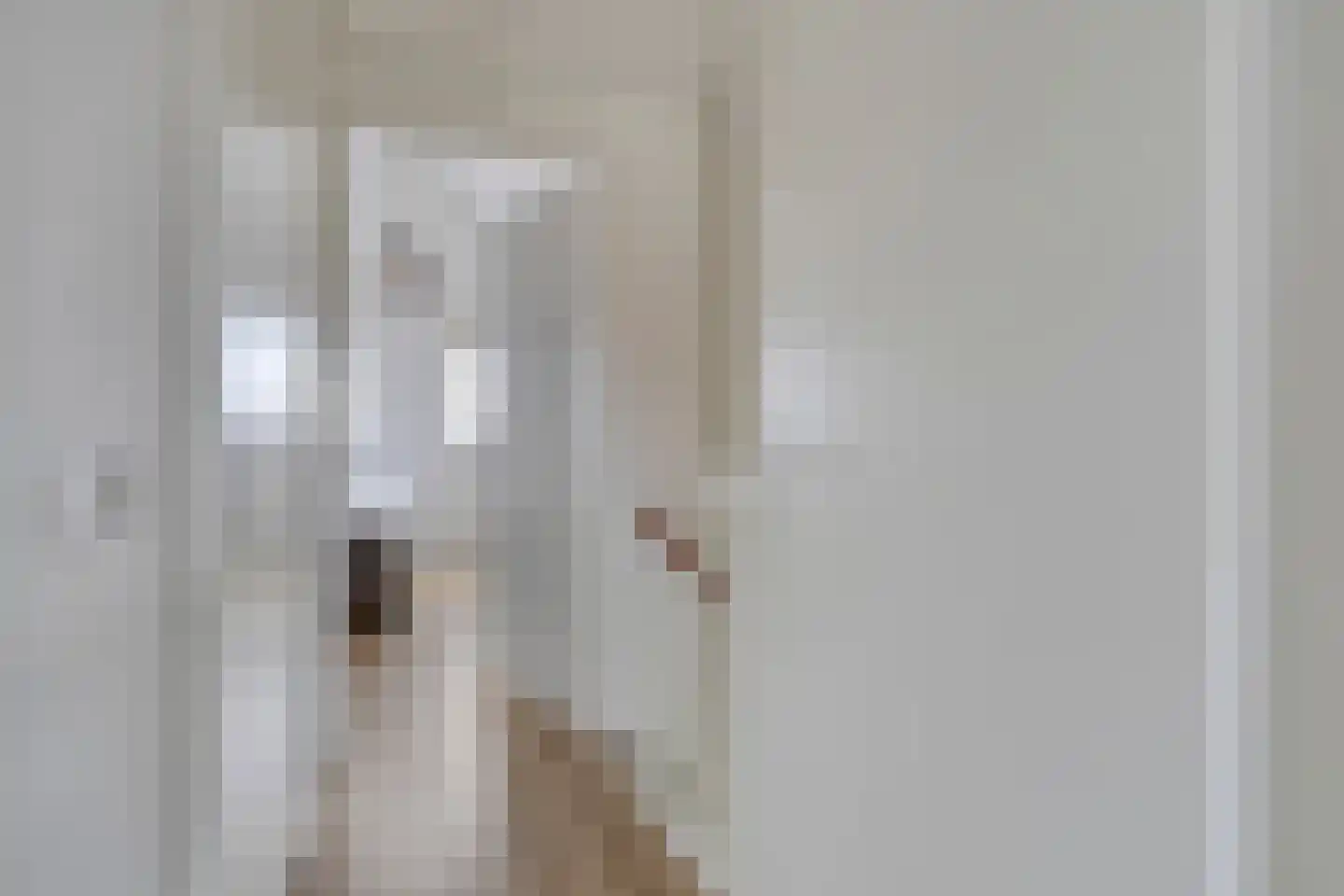 Wulpdal 40 Scherpenisse thumbnail 16