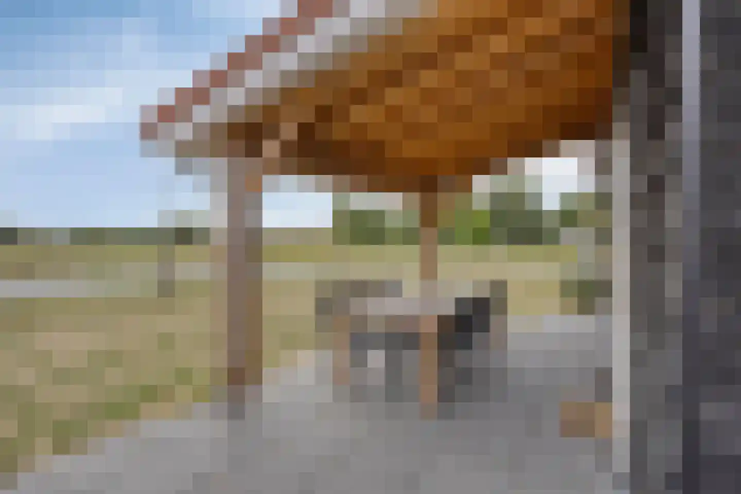 Wulpdal 40 Scherpenisse thumbnail 26
