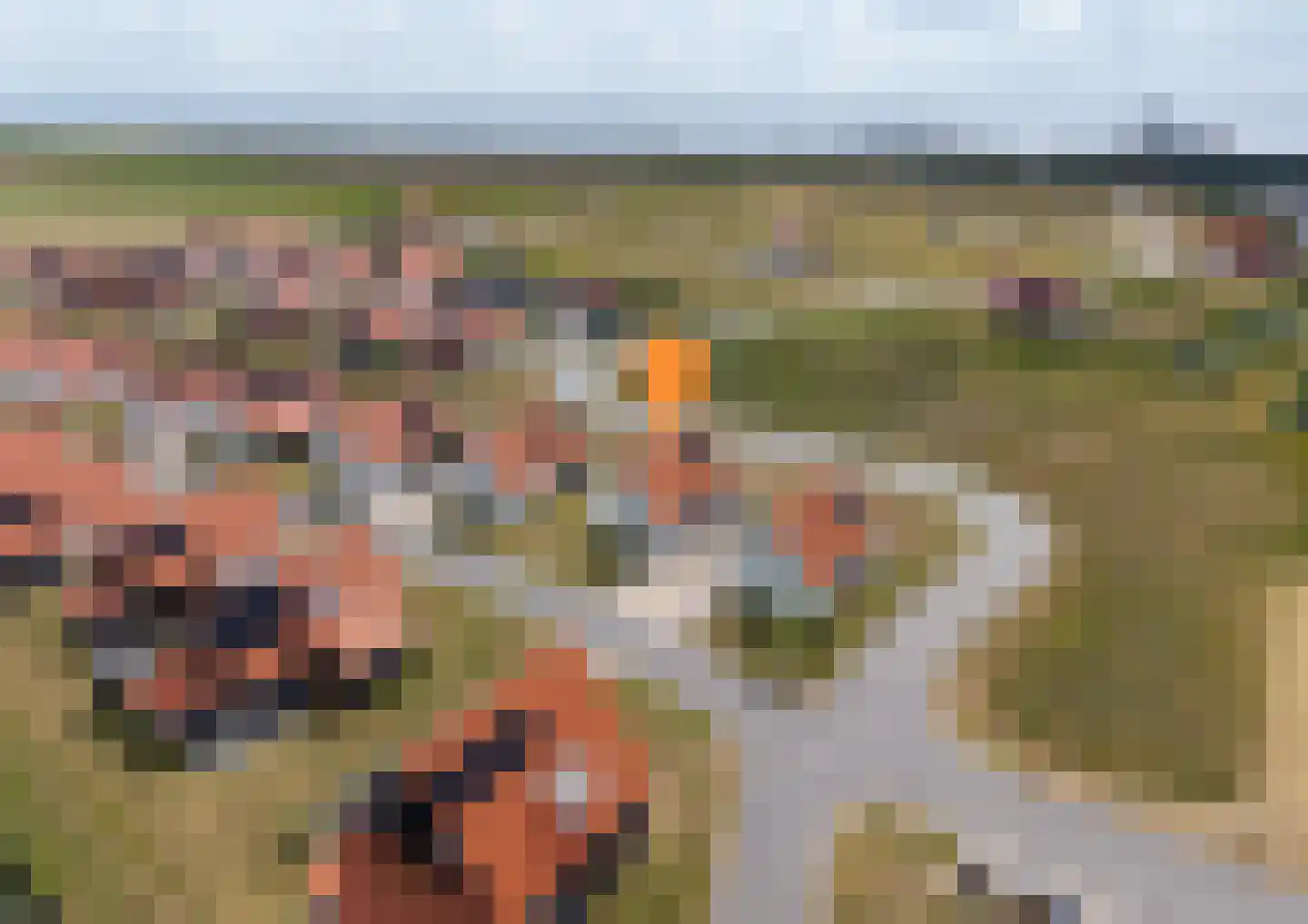 Wulpdal 40 Scherpenisse thumbnail 32