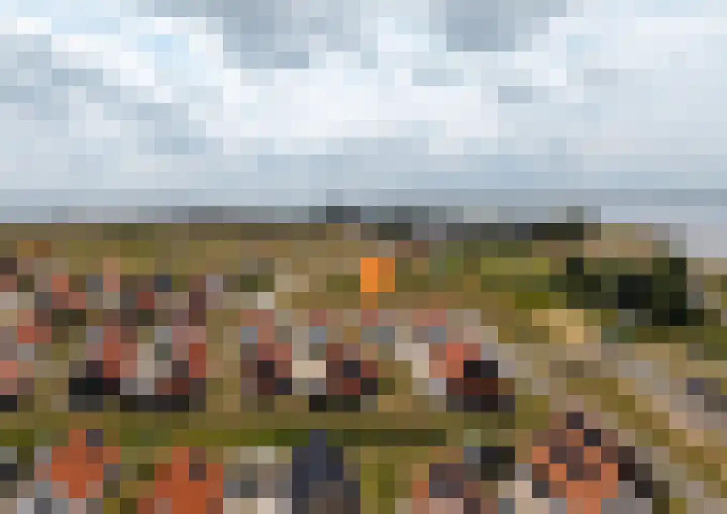 Wulpdal 40 Scherpenisse thumbnail 34
