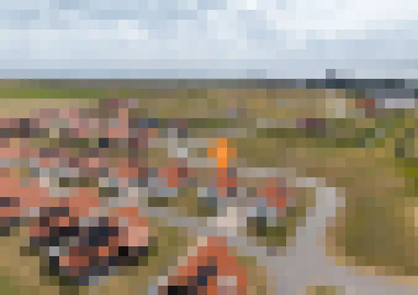 Wulpdal 40 Scherpenisse thumbnail 35