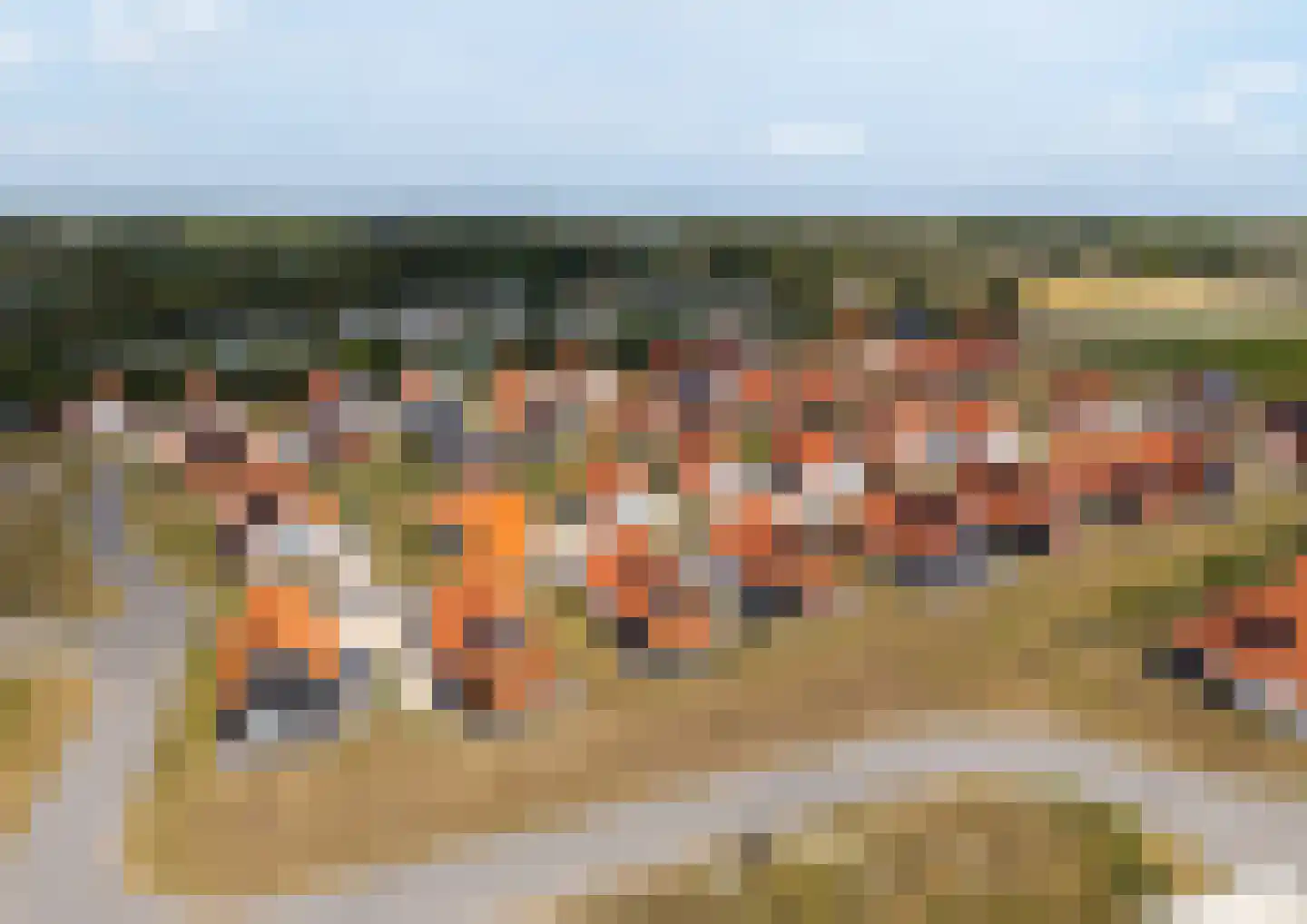 Wulpdal 40 Scherpenisse thumbnail 36