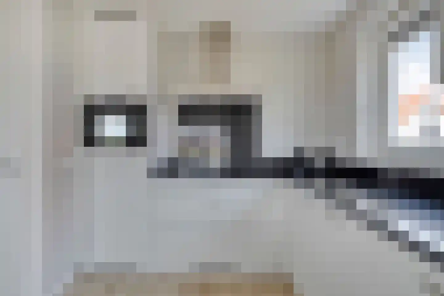 Wulpdal 40 Scherpenisse thumbnail 8