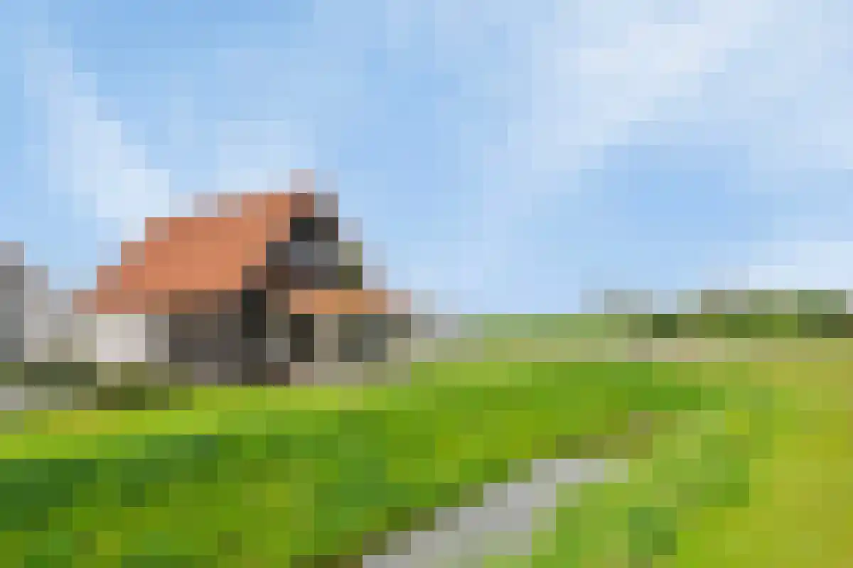 Wulpdal 42 Scherpenisse