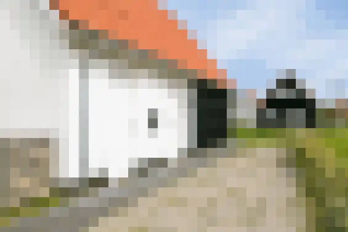 Wulpdal 44 Scherpenisse thumbnail 31