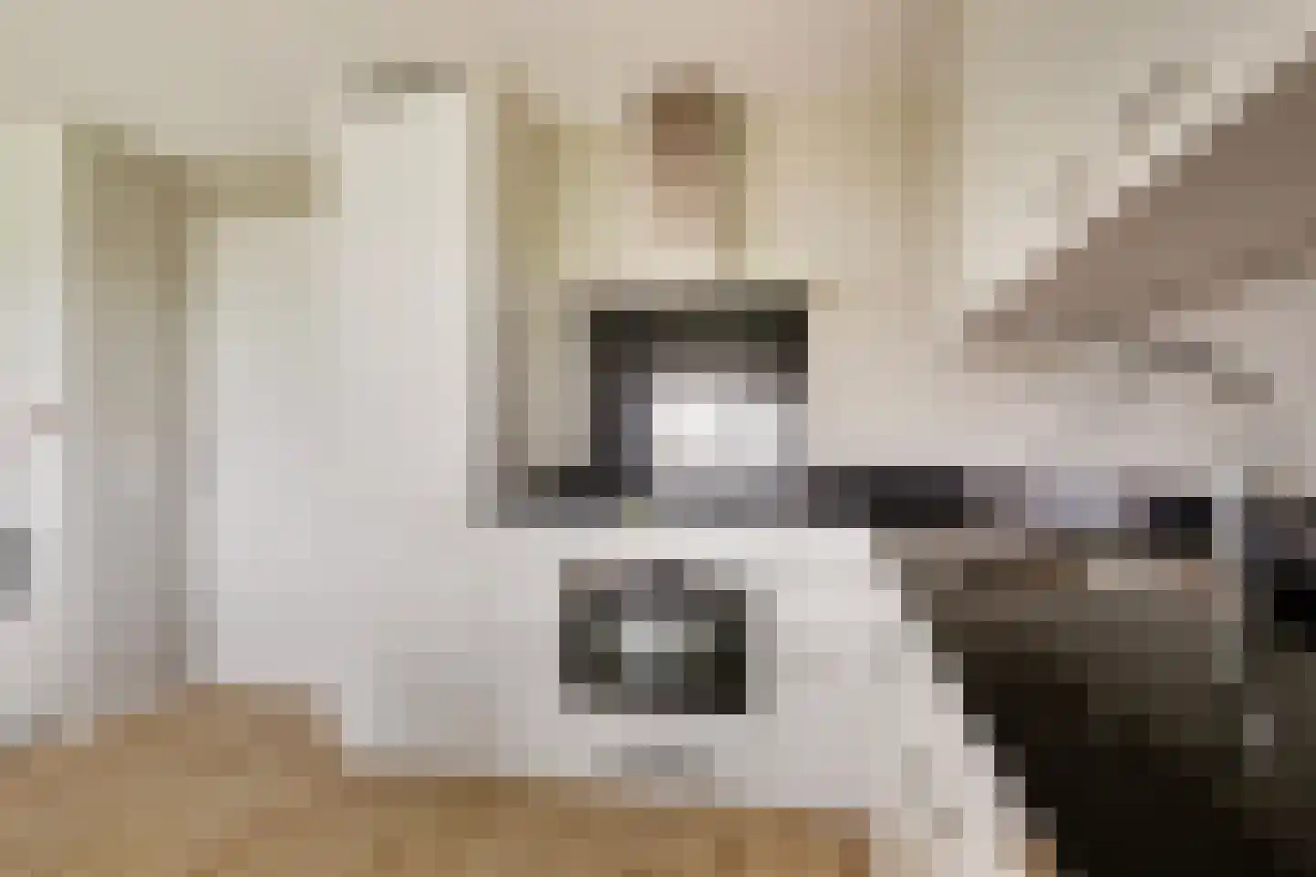 Wulpdal 47 Scherpenisse thumbnail 19
