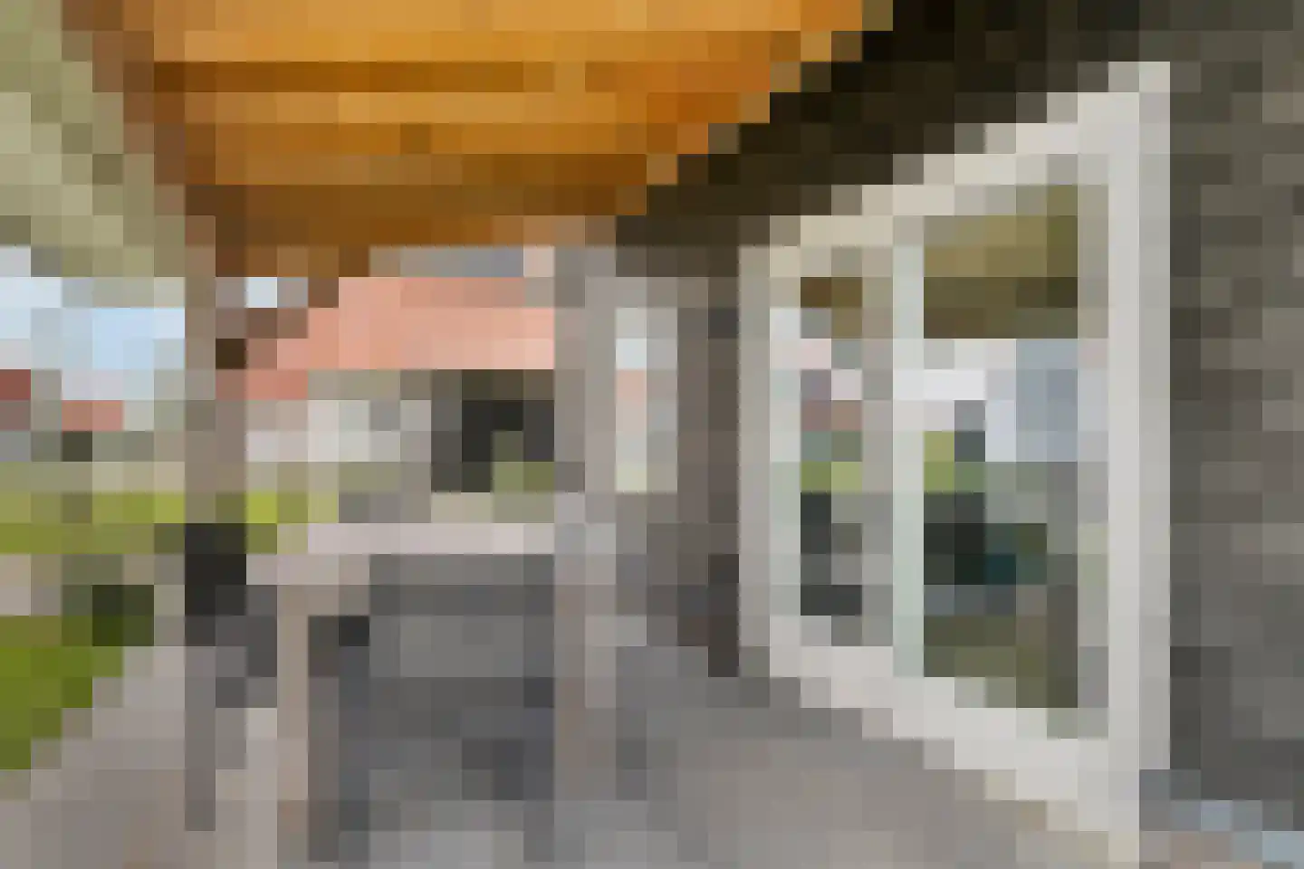 Wulpdal 47 Scherpenisse thumbnail 44