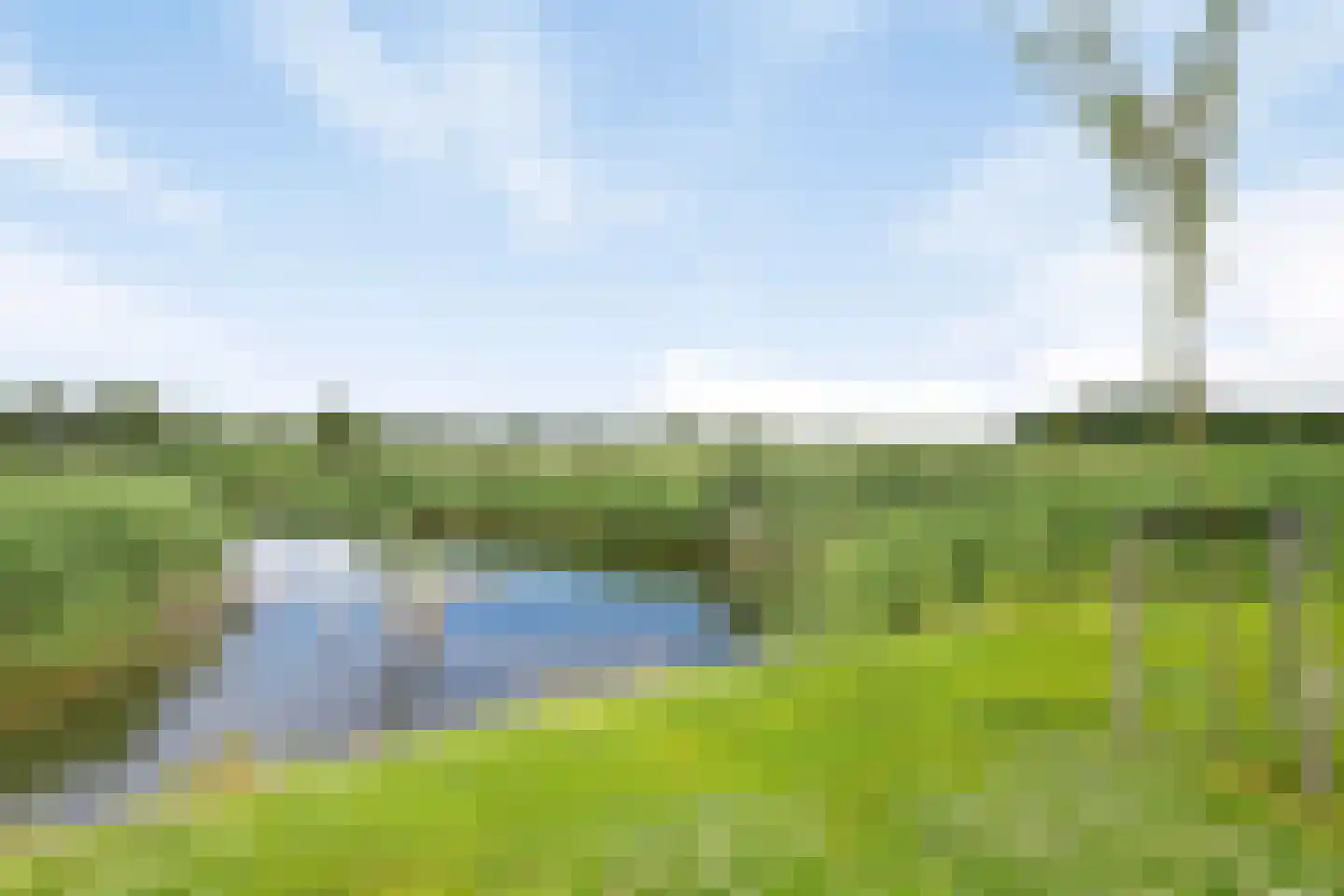 Wulpdal 47 Scherpenisse thumbnail 51