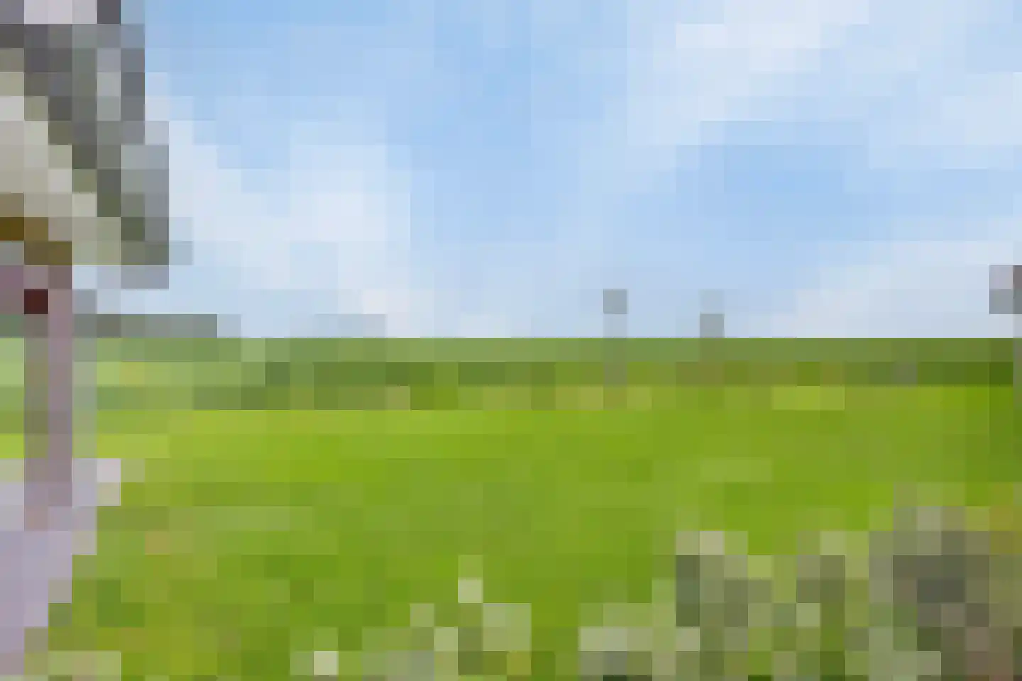 Wulpdal 47 Scherpenisse thumbnail 53