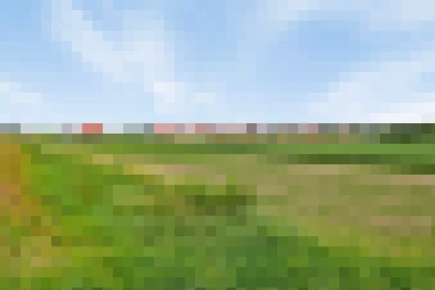 Wulpdal 47 Scherpenisse thumbnail 69
