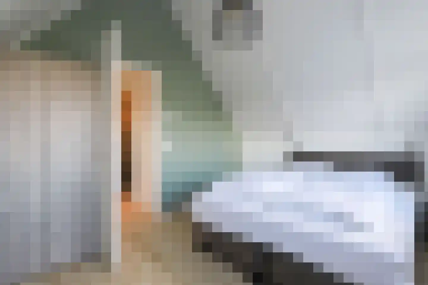 Wulpdal 49 Scherpenisse thumbnail 23