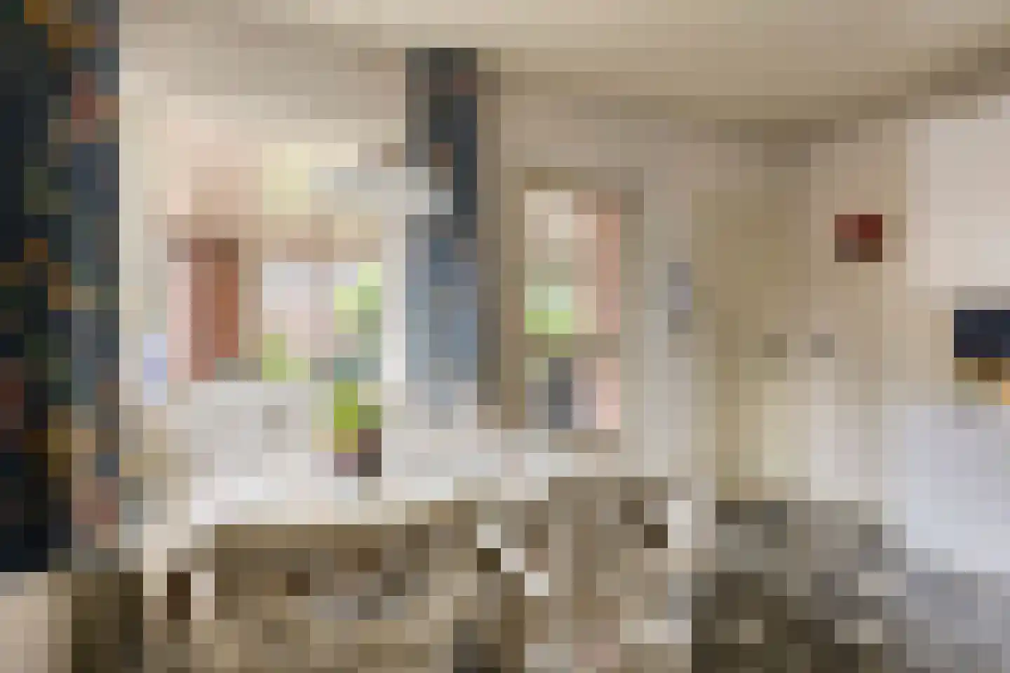 Wulpdonk 5 Veghel thumbnail 16
