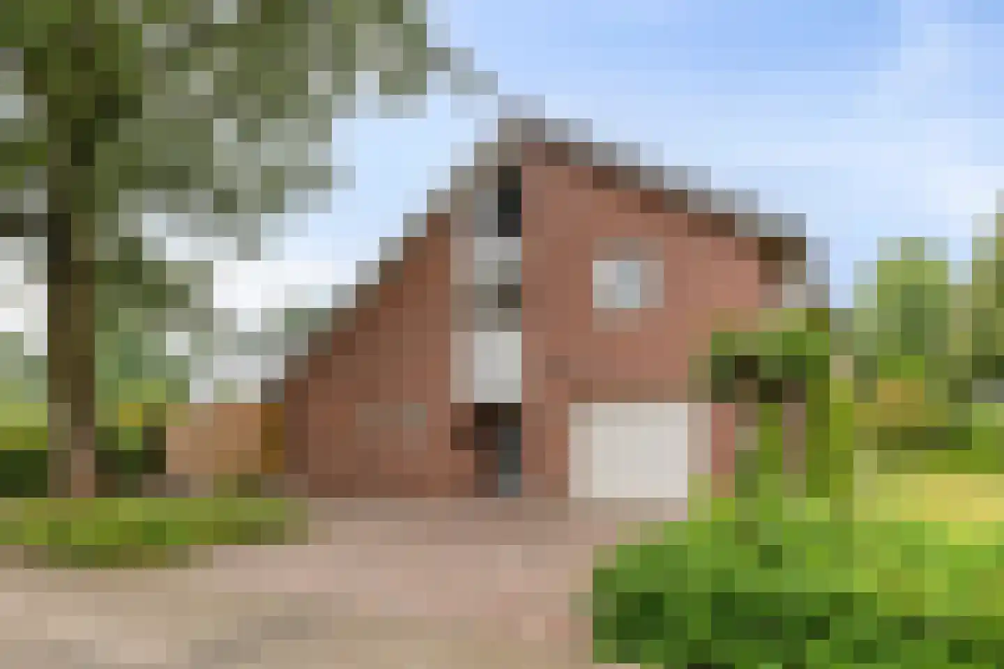 Wulpdonk 5 Veghel foto 2