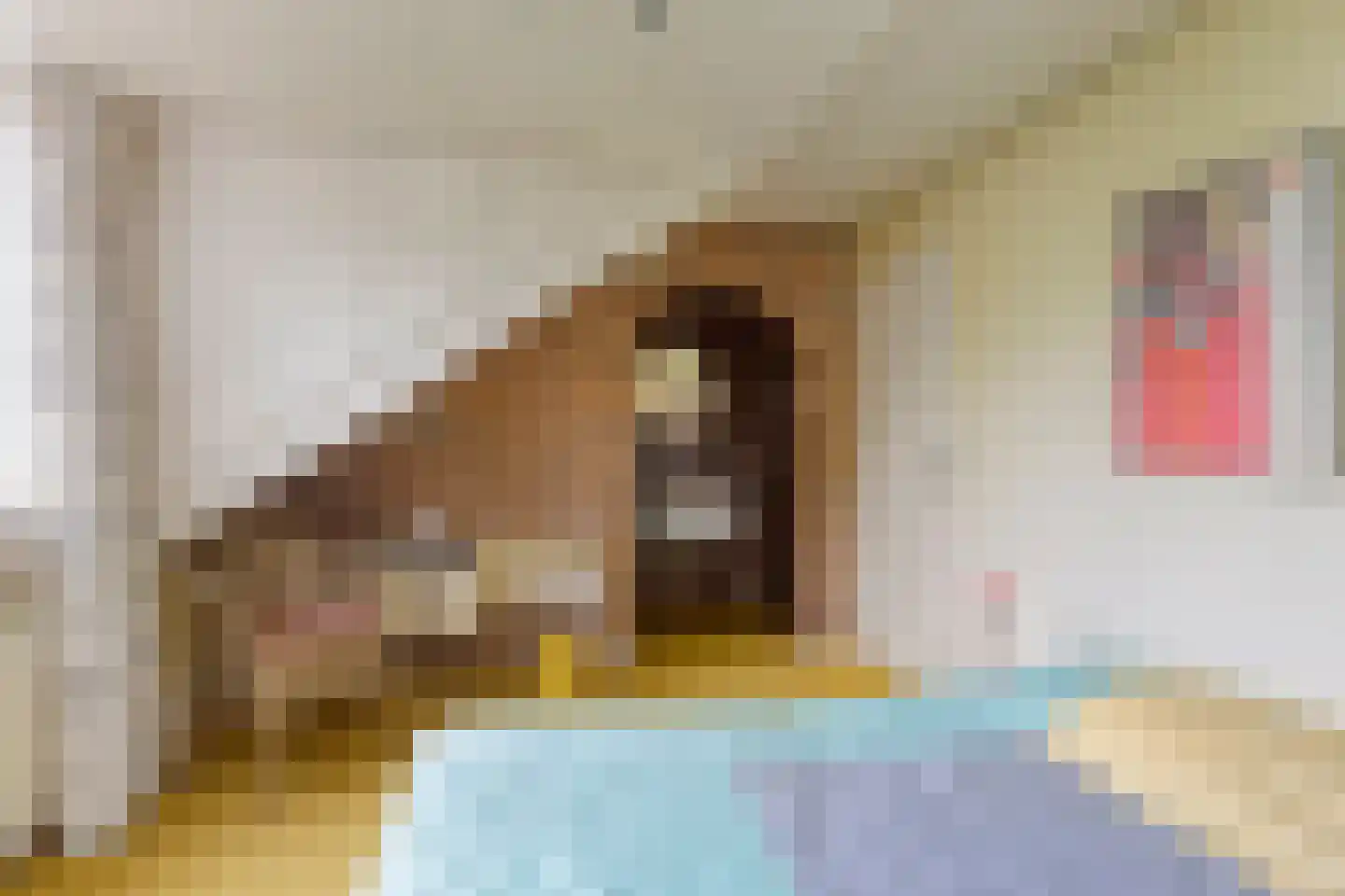Wulpdonk 5 Veghel thumbnail 32