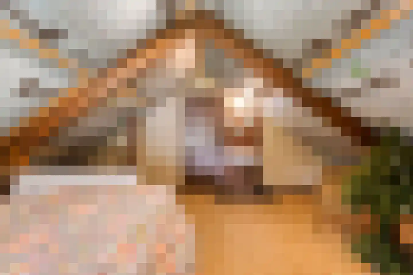Wulpdonk 5 Veghel thumbnail 34