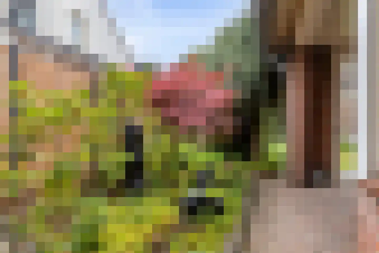 Wulpdonk 5 Veghel thumbnail 36