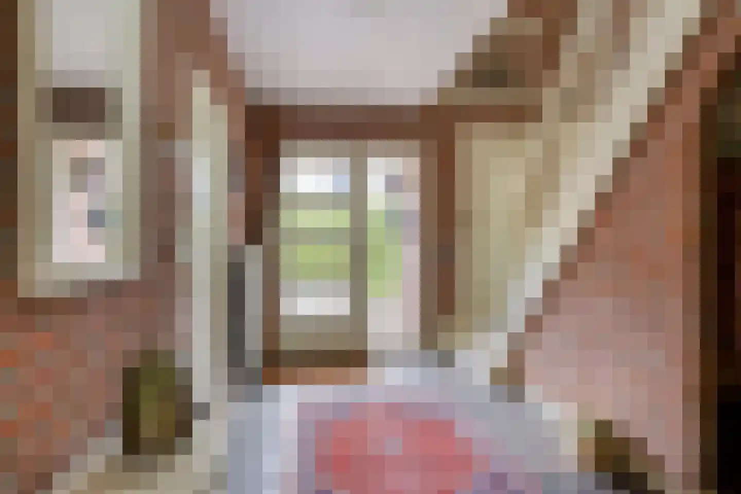 Wulpdonk 5 Veghel thumbnail 4