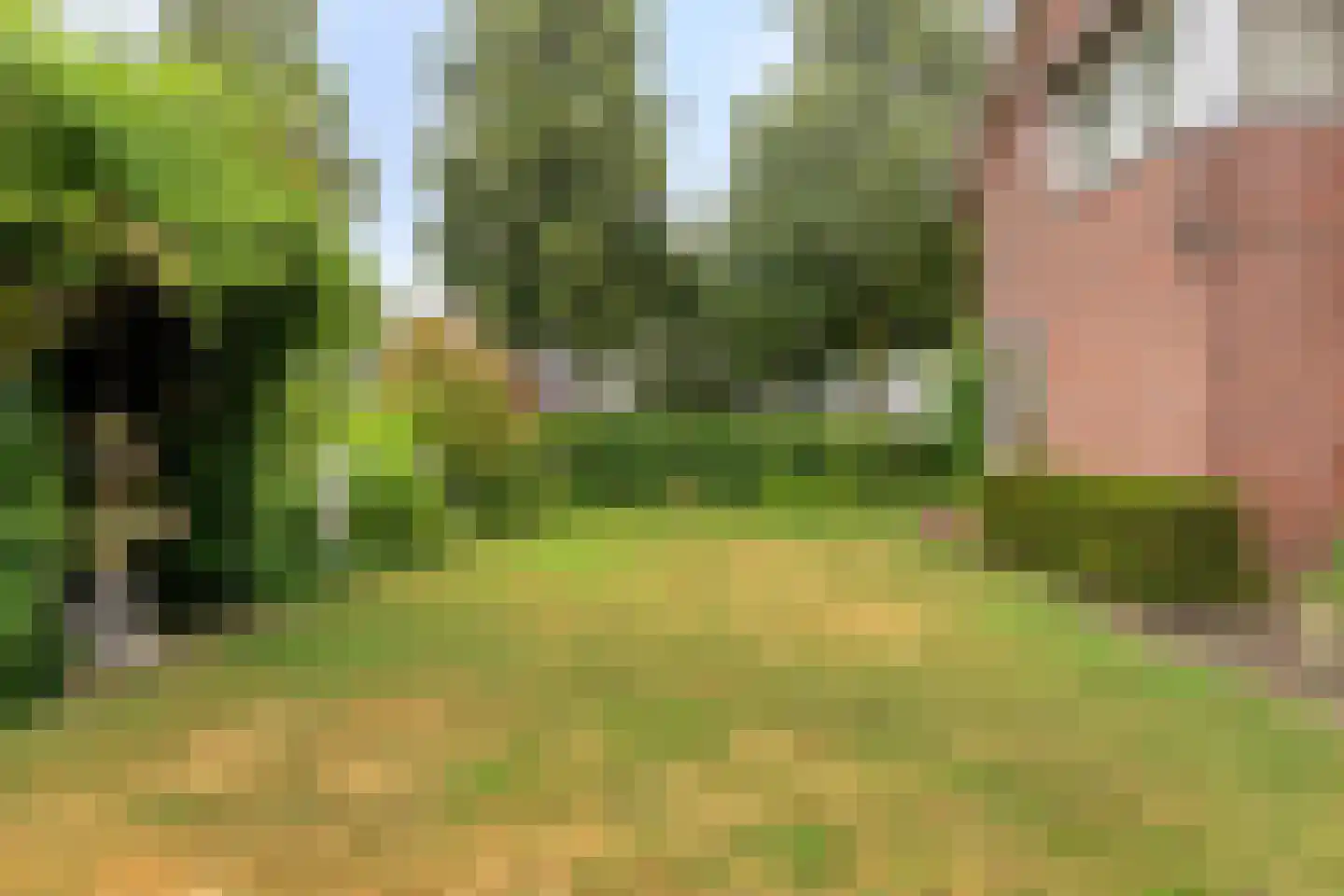 Wulpdonk 5 Veghel thumbnail 40
