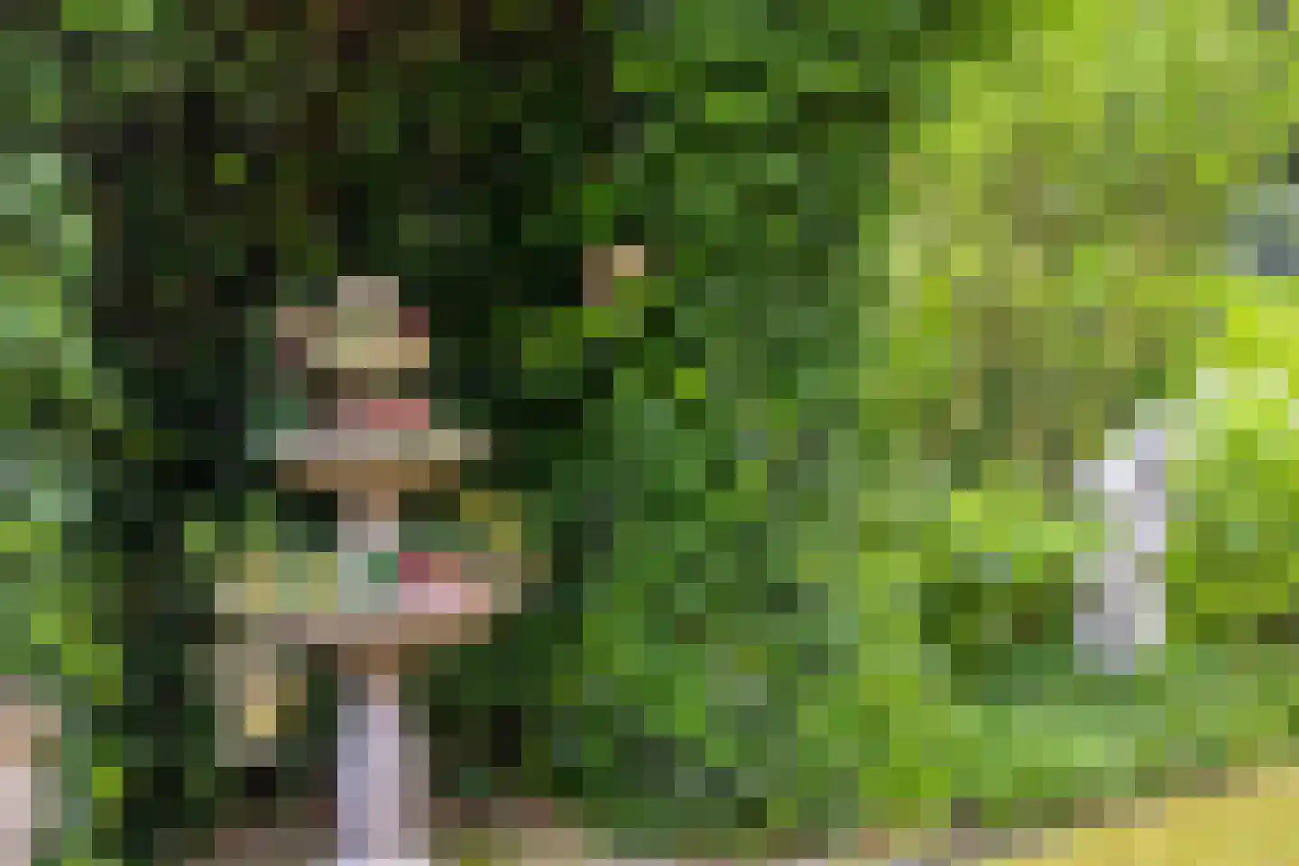 Wulpdonk 5 Veghel thumbnail 41