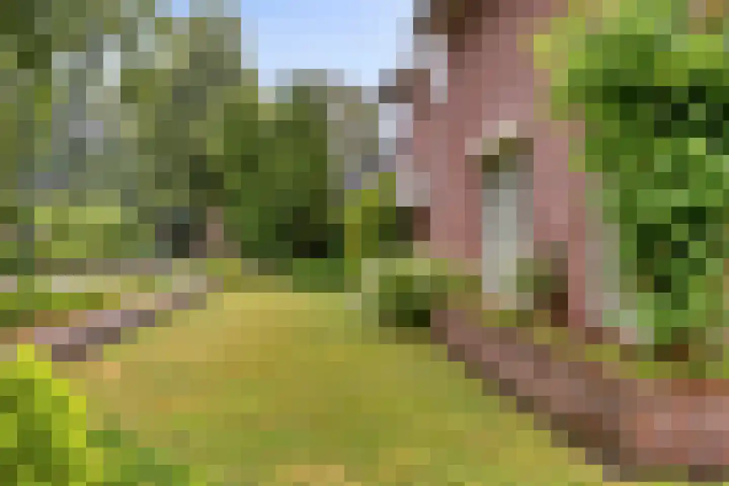 Wulpdonk 5 Veghel thumbnail 43